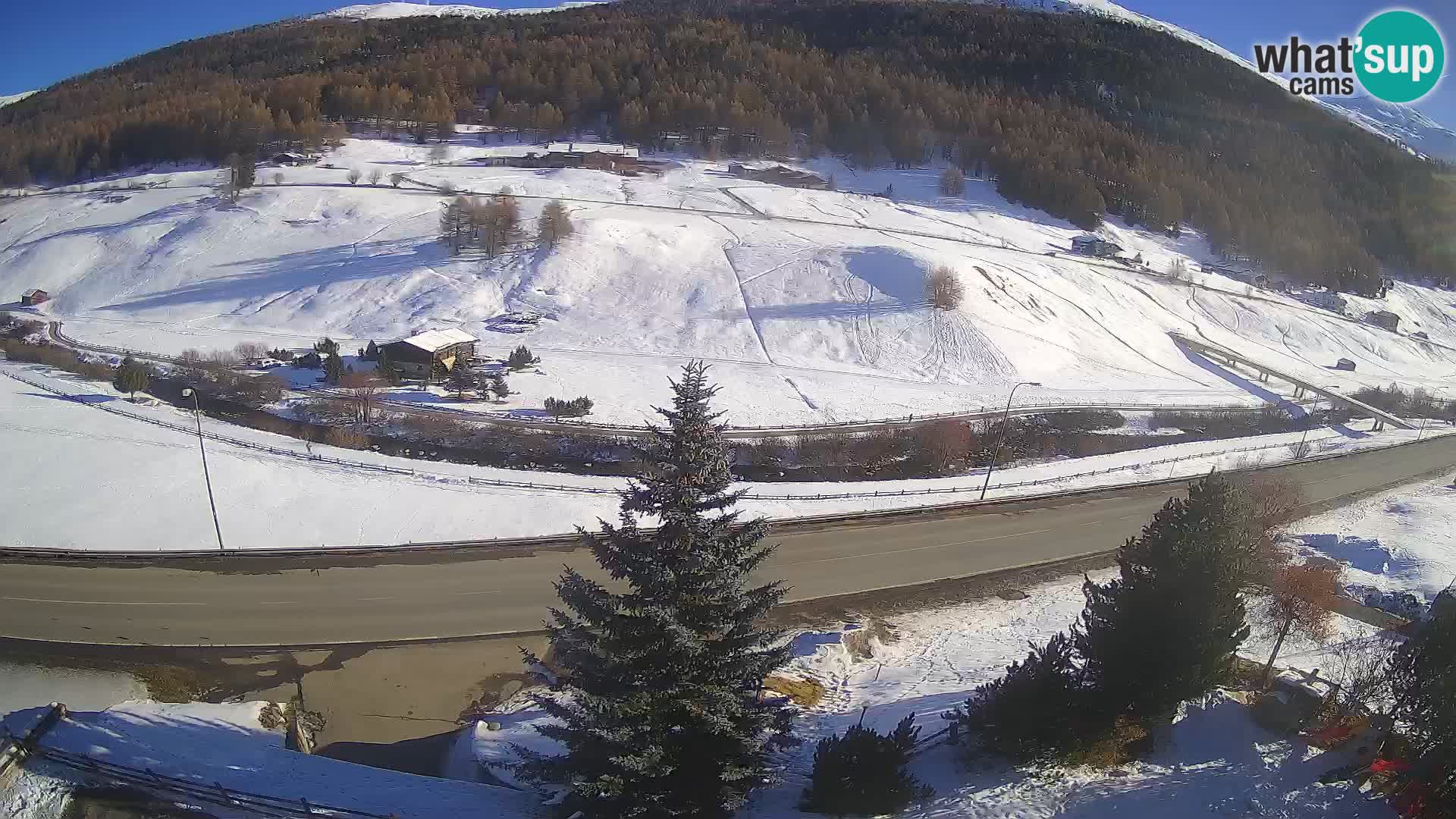 Livigno Cam Hotel Primula | Livigno smučišče