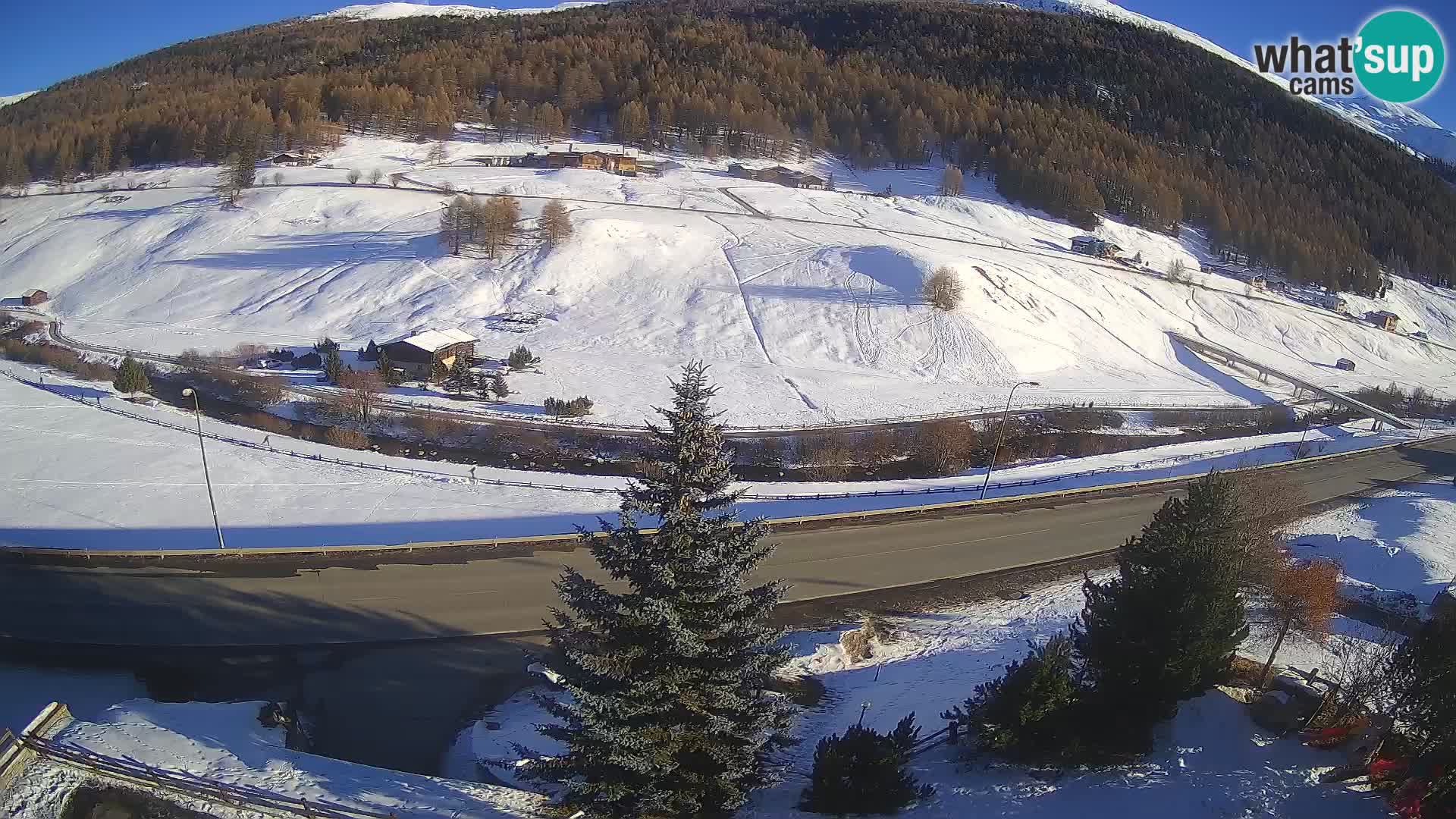 Webcam Livigno Hotel Primula