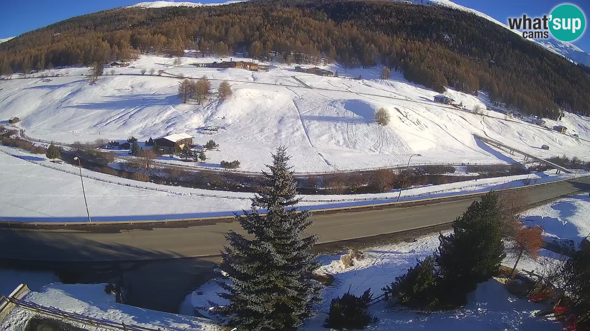 Webcam Livigno Hotel Primula