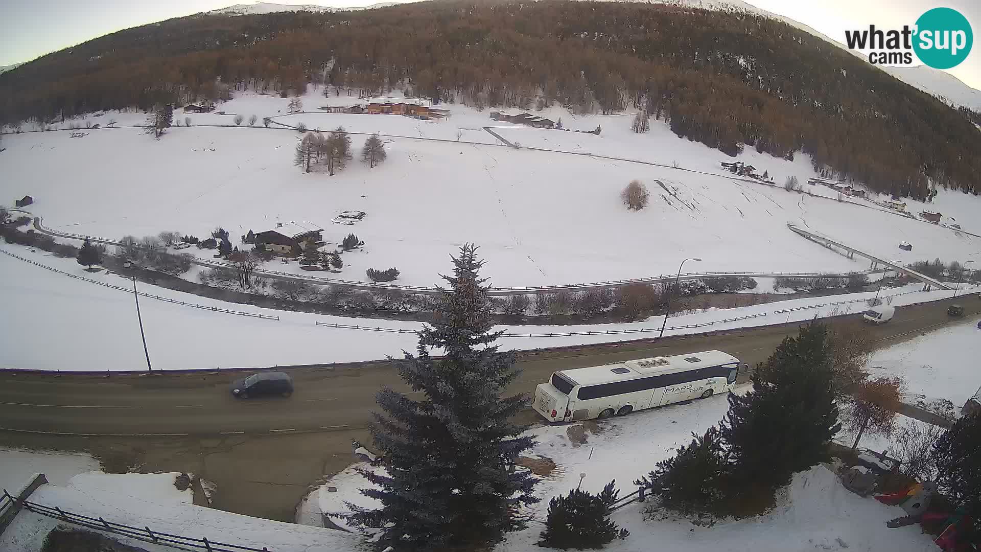 Web Cam Livigno | Hotel Primula