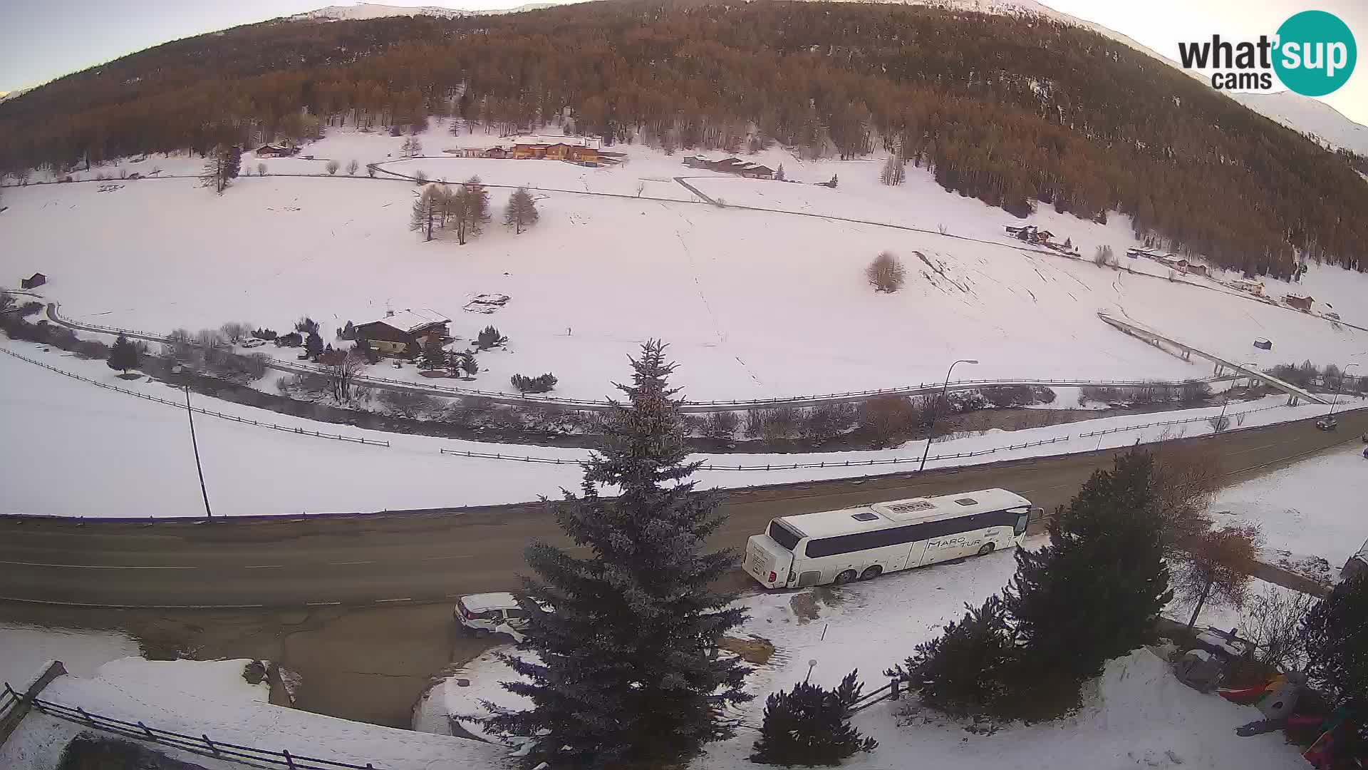 Livigno webcam LIVE Hotel Primula