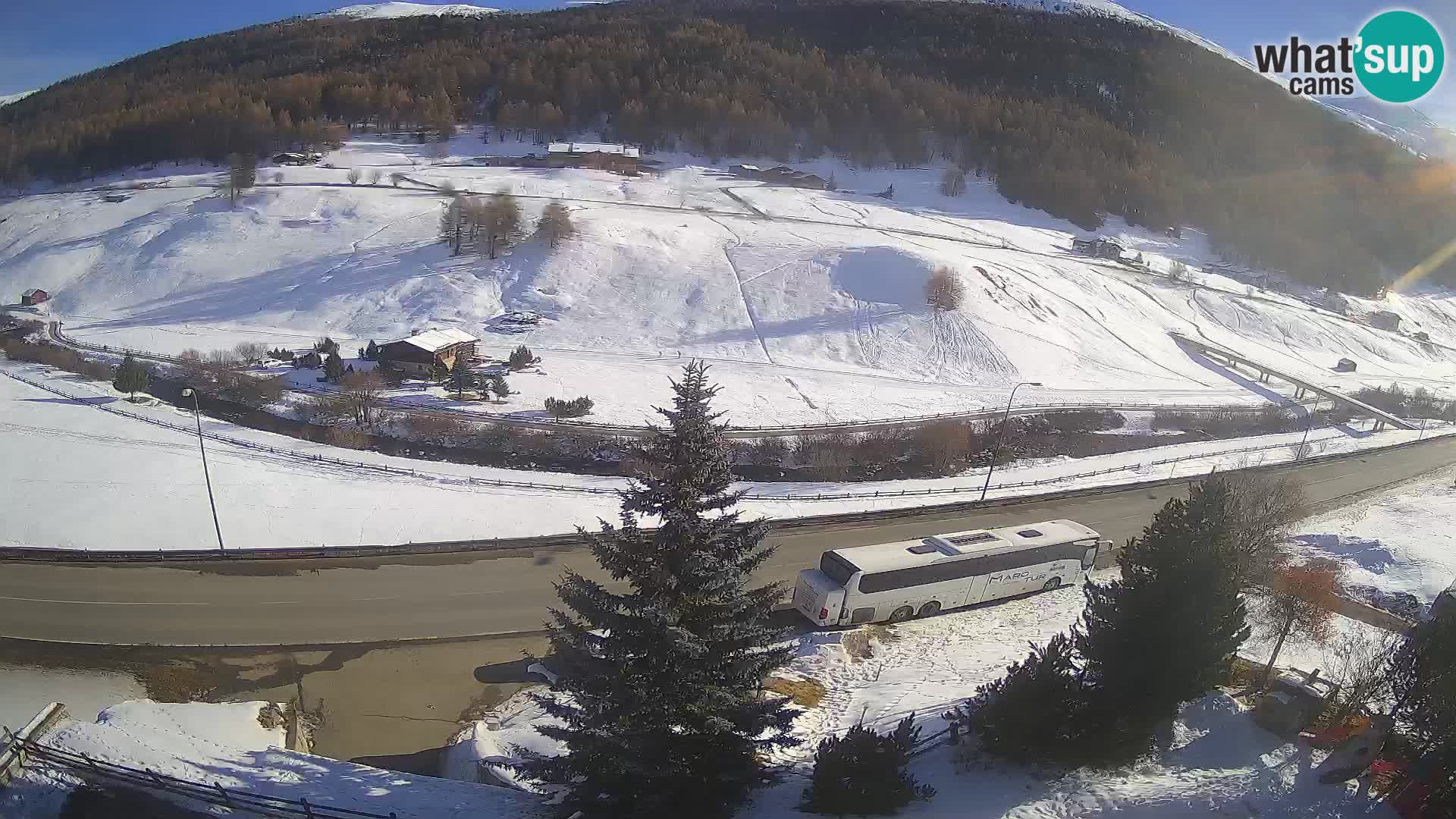 Livigno webcam LIVE Hotel Primula