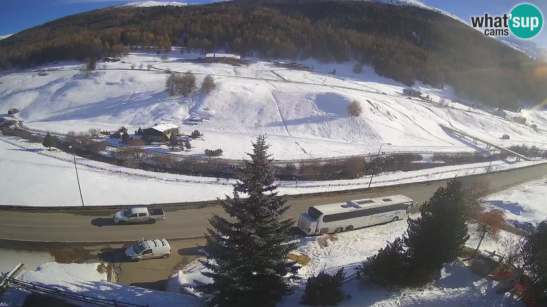 Livigno webcam LIVE Hotel Primula