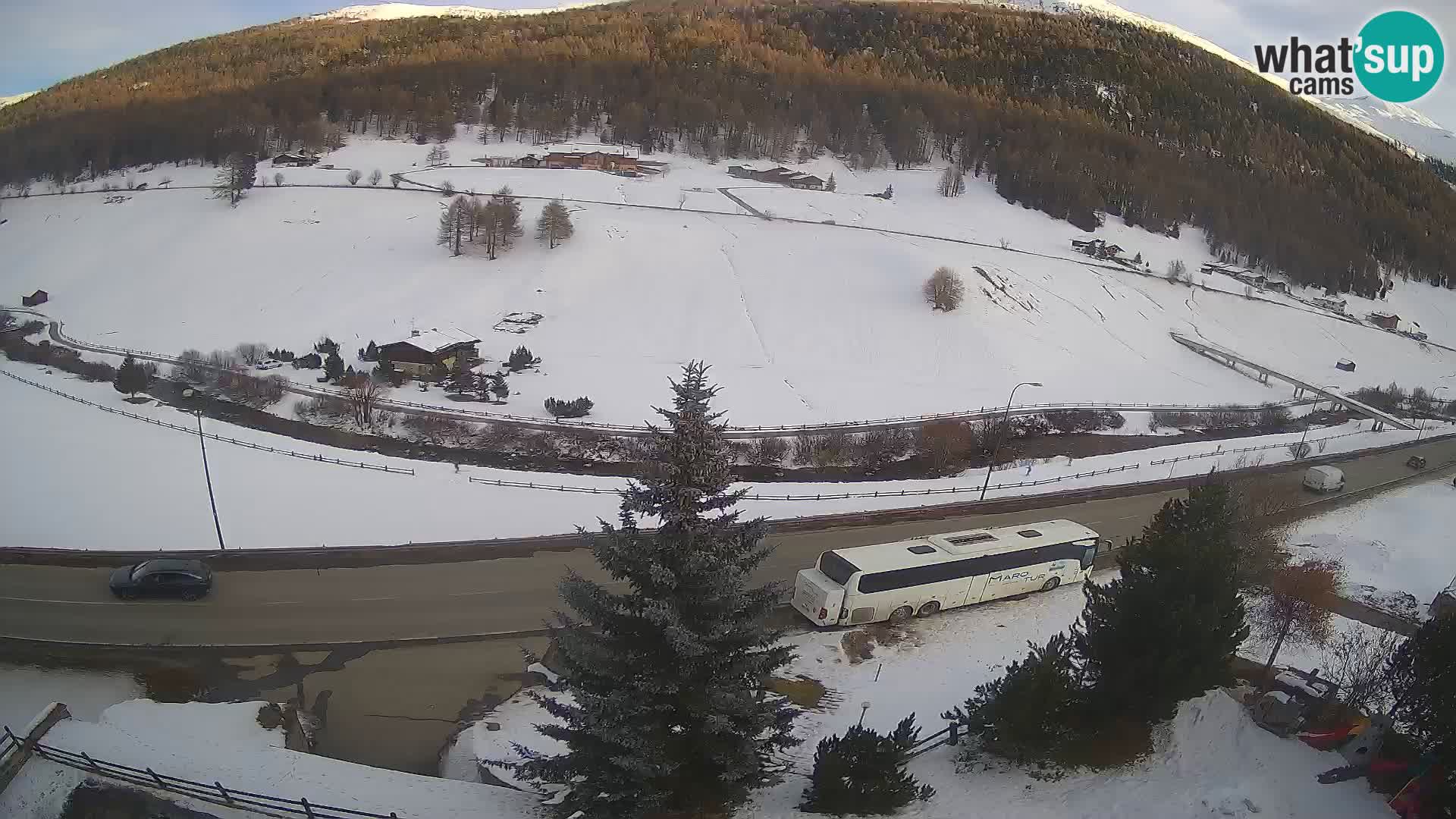 Livigno Cam Hotel Primula | Livigno smučišče