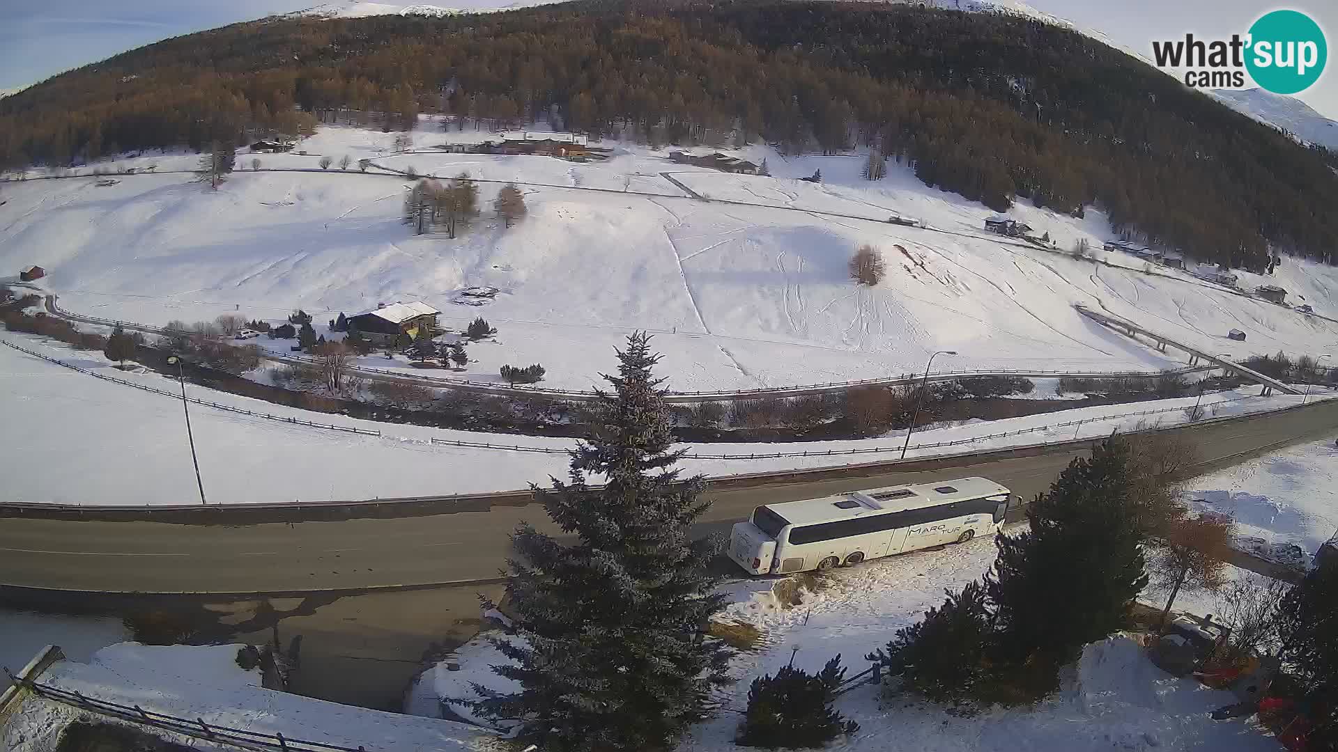 Webcam Livigno Hotel Primula
