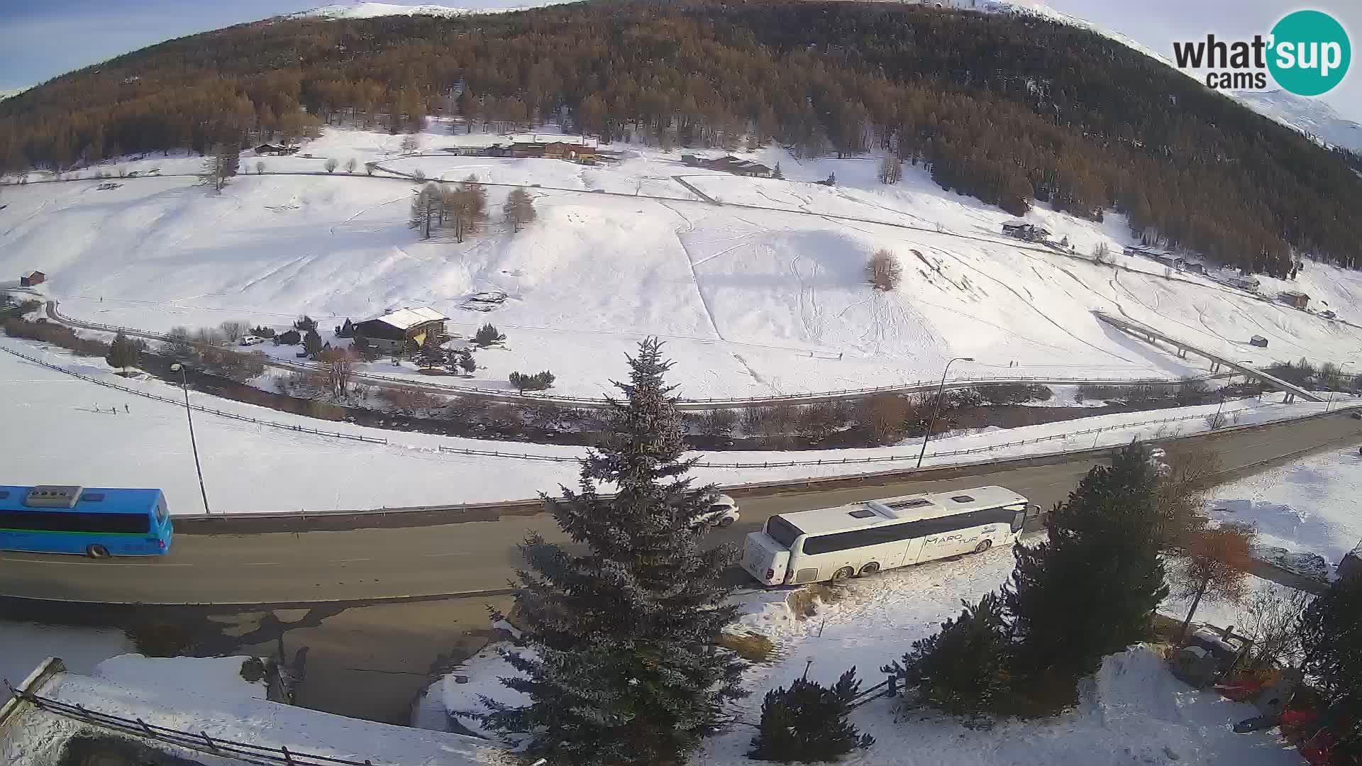 Webcam Livigno Hotel Primula
