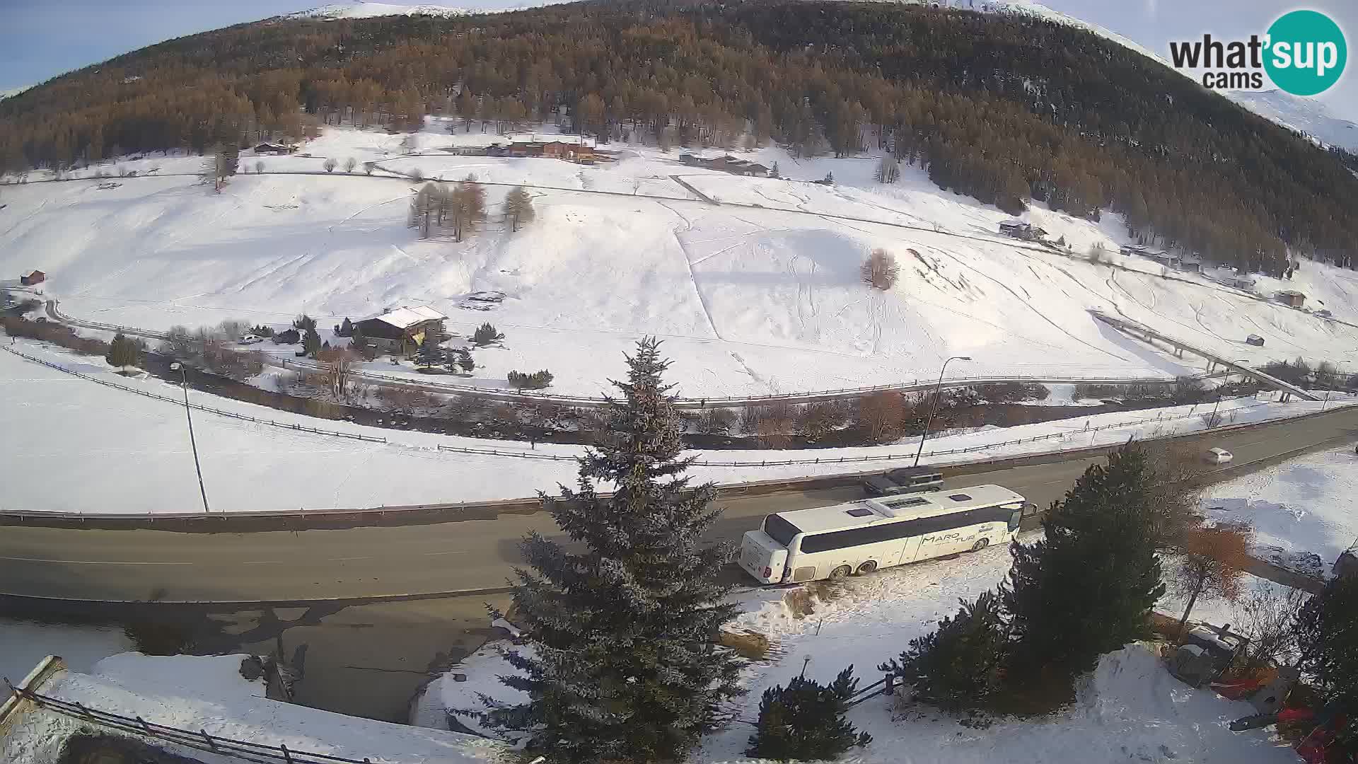Webcam Livigno Hotel Primula