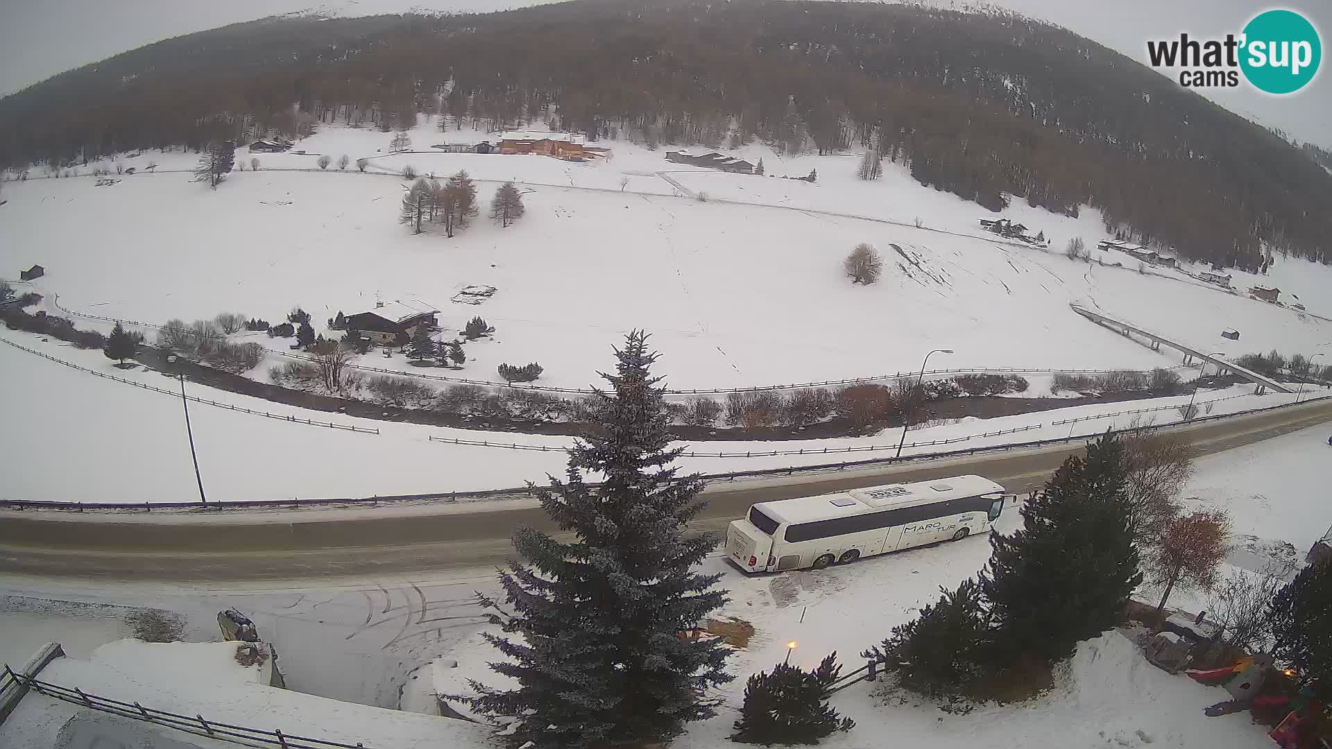 Livigno webcam LIVE Hotel Primula