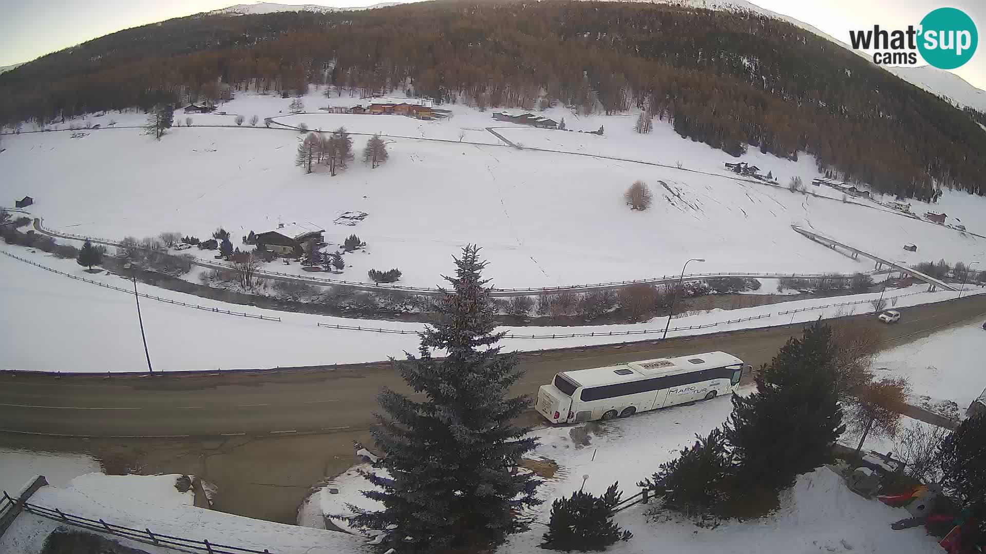 Webcam Livigno Hotel Primula