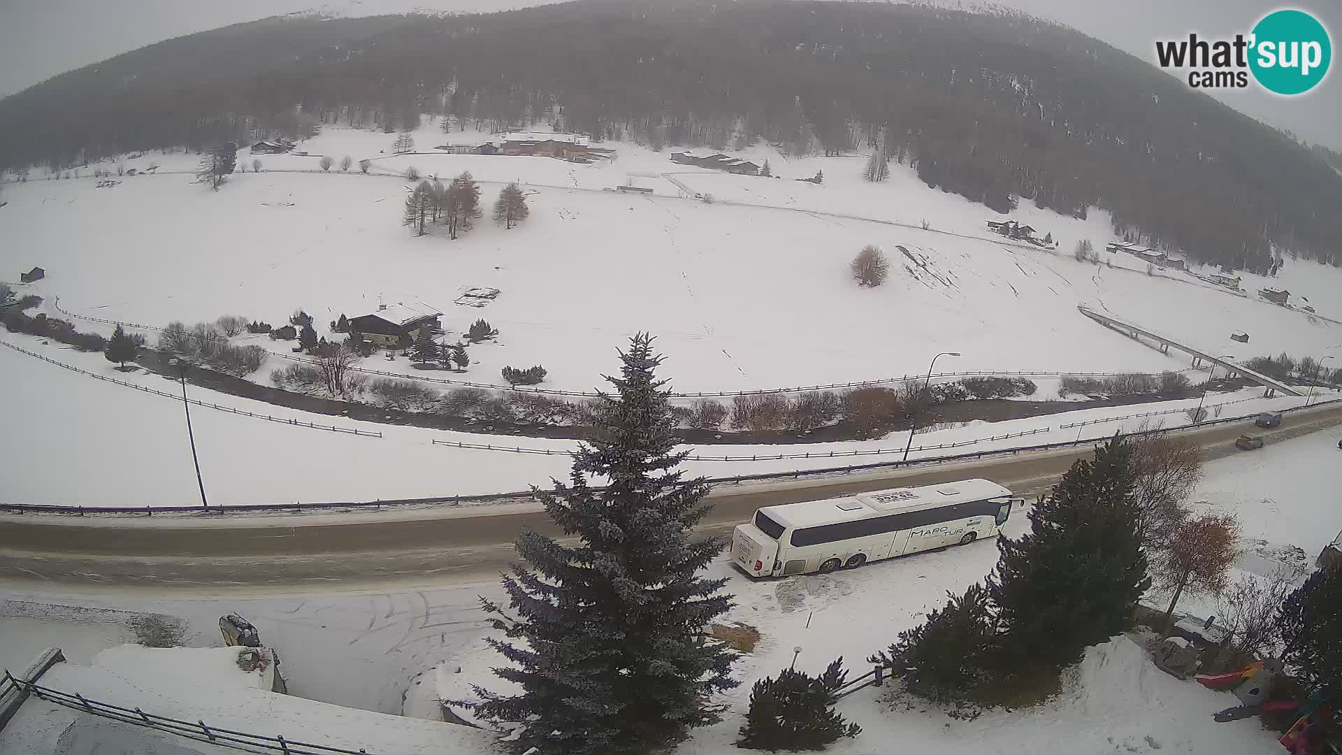 Webcam Livigno Hotel Primula