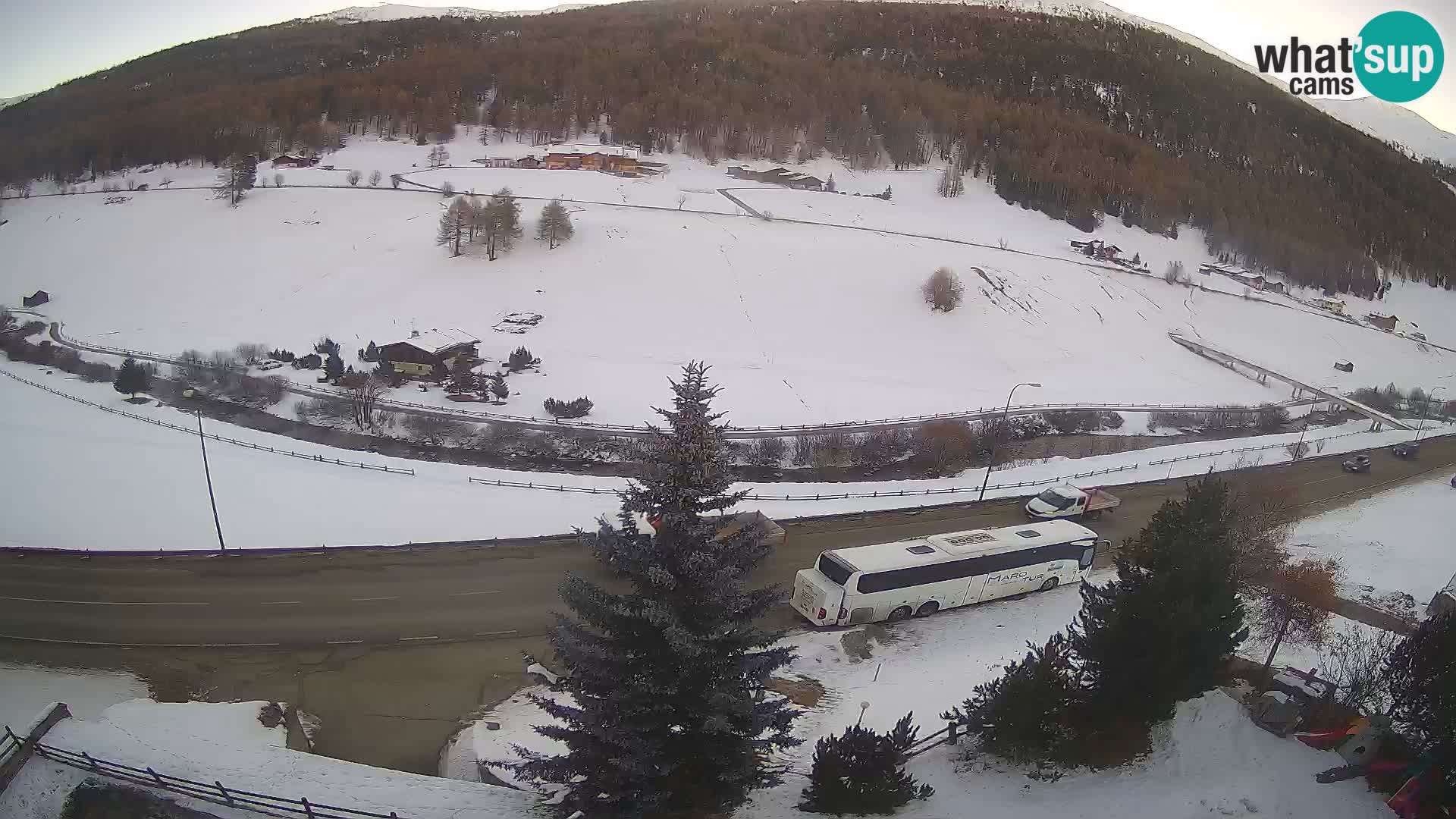 Webcam Livigno Hotel Primula