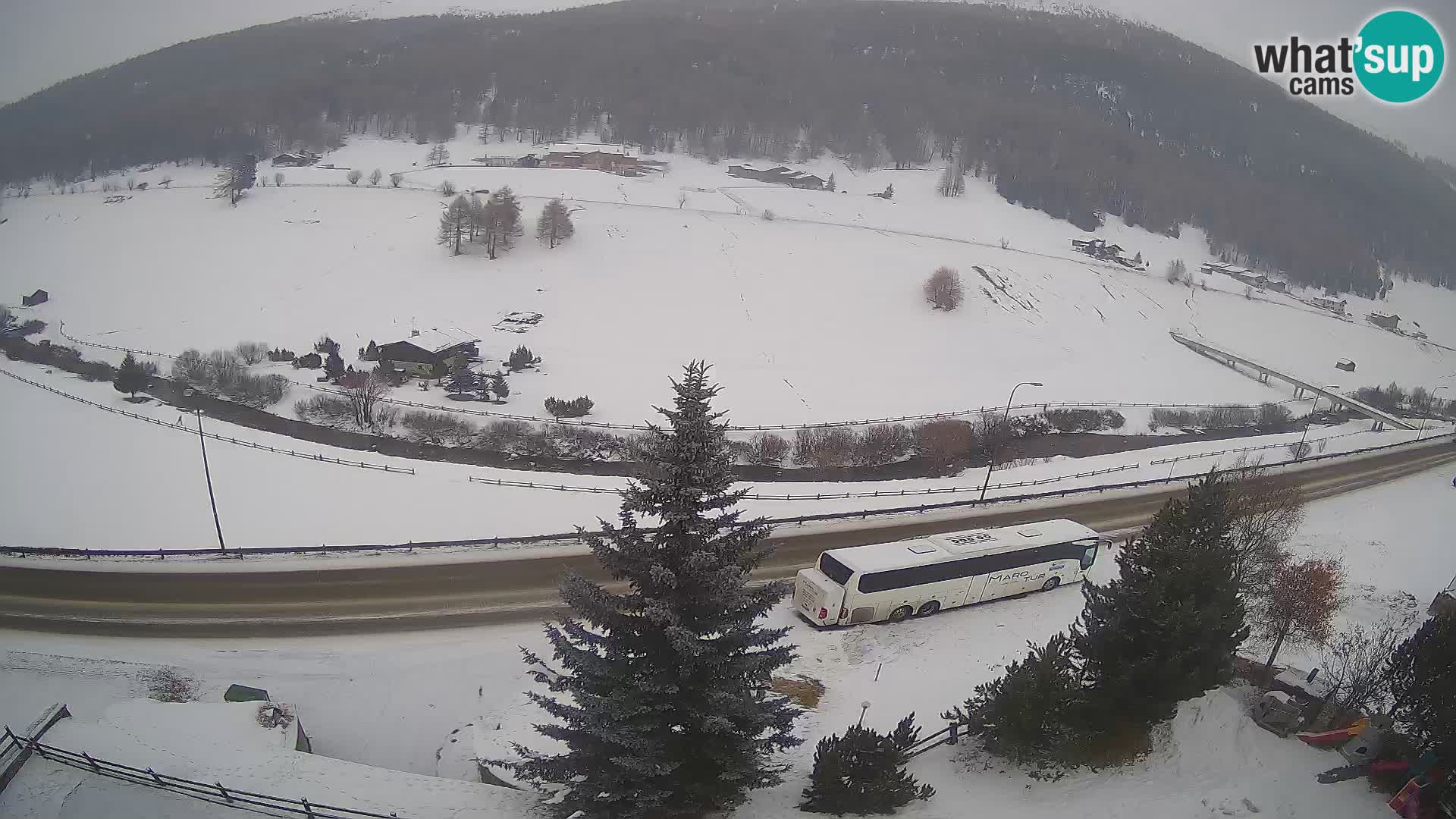 Livigno webcam LIVE Hotel Primula