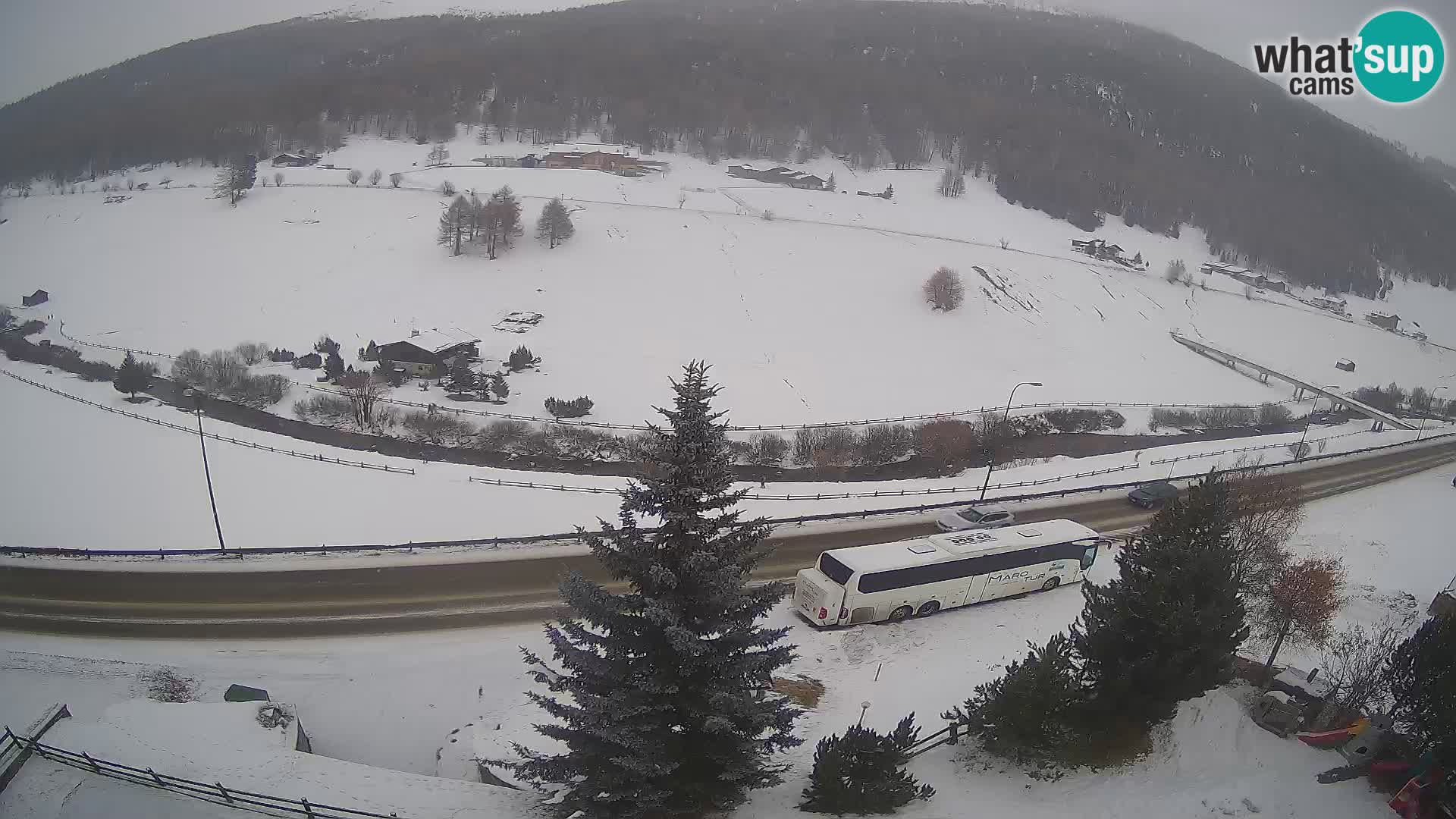 Webcam Livigno Hotel Primula