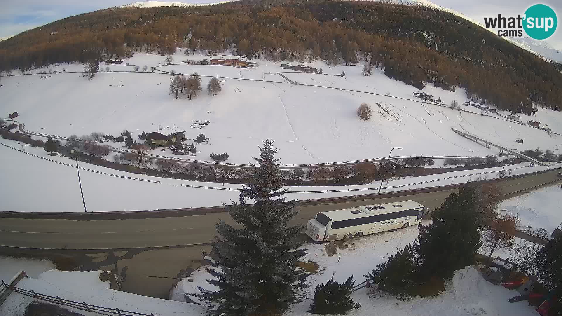 Web Cam Livigno | Hotel Primula