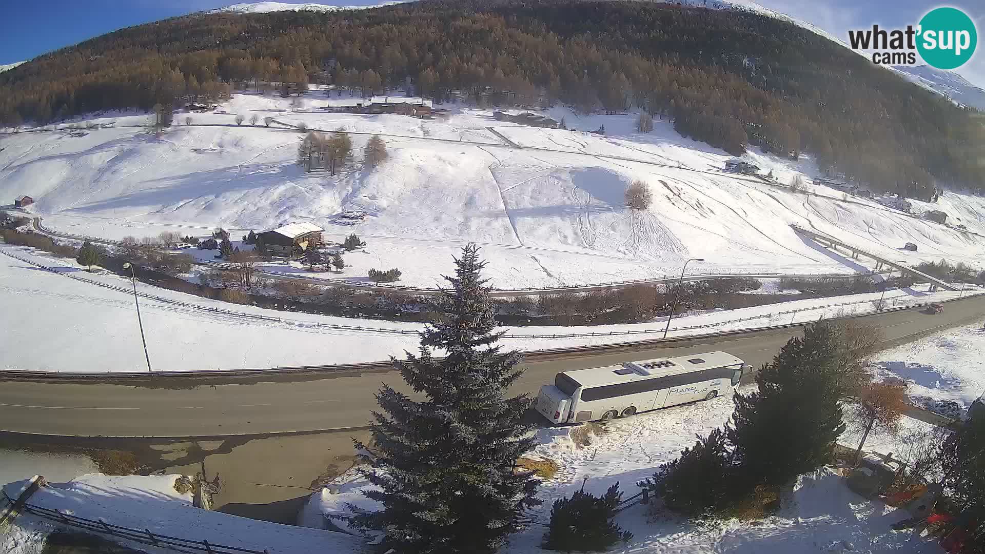 Camera Livigno Hotel Primula | ESQUIAR