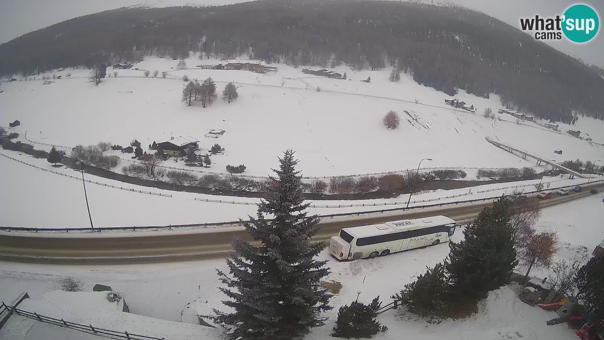 Livigno webcam LIVE Hotel Primula