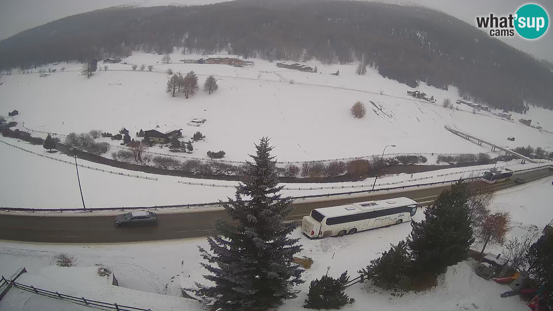 Livigno webcam LIVE Hotel Primula