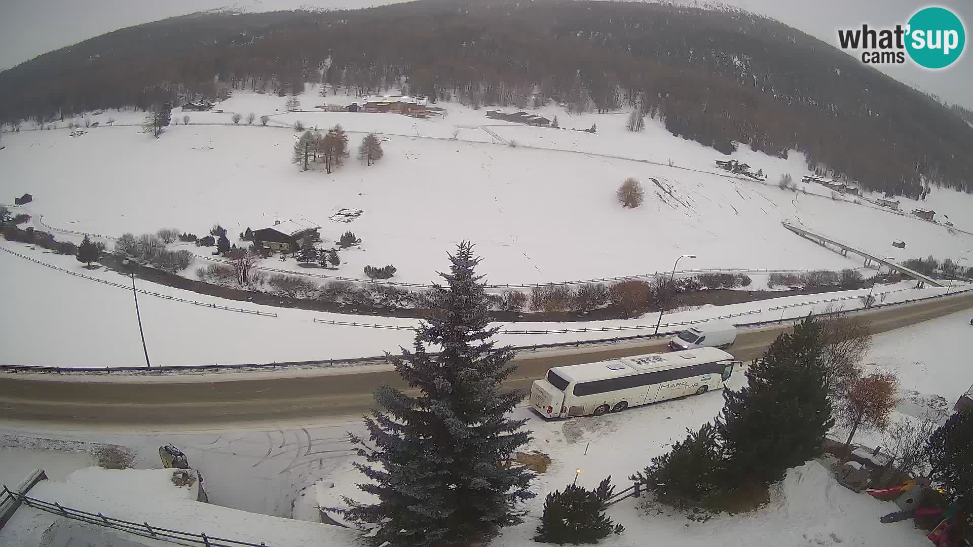 Webcam Livigno Hotel Primula