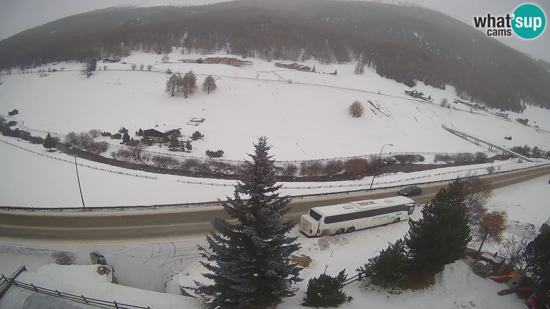 Livigno webcam LIVE Hotel Primula