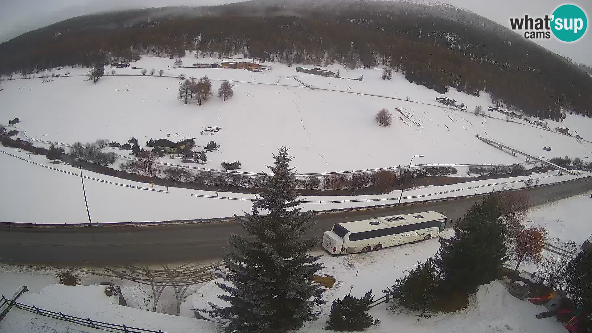 Livigno webcam LIVE Hotel Primula