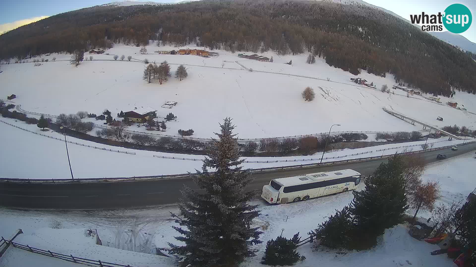 Web Cam Livigno | Hotel Primula