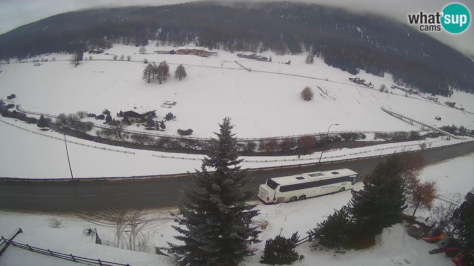 Webcam Livigno Hotel Primula