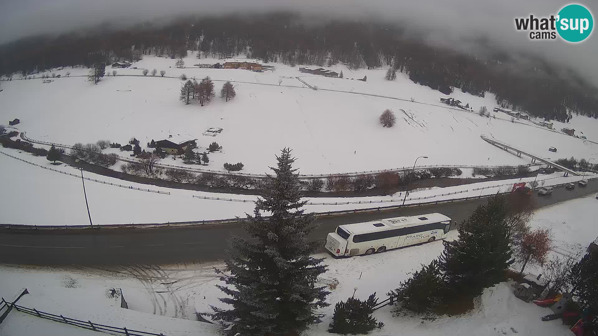 Webcam Livigno Hotel Primula