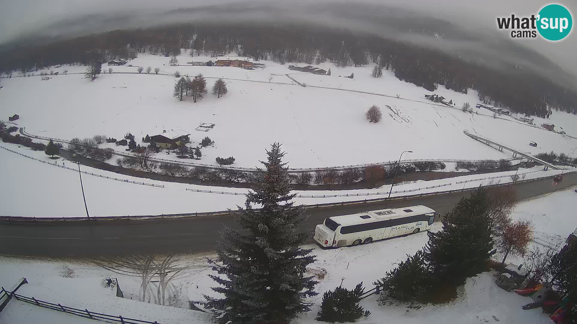 Camera Livigno Hotel Primula | ESQUIAR