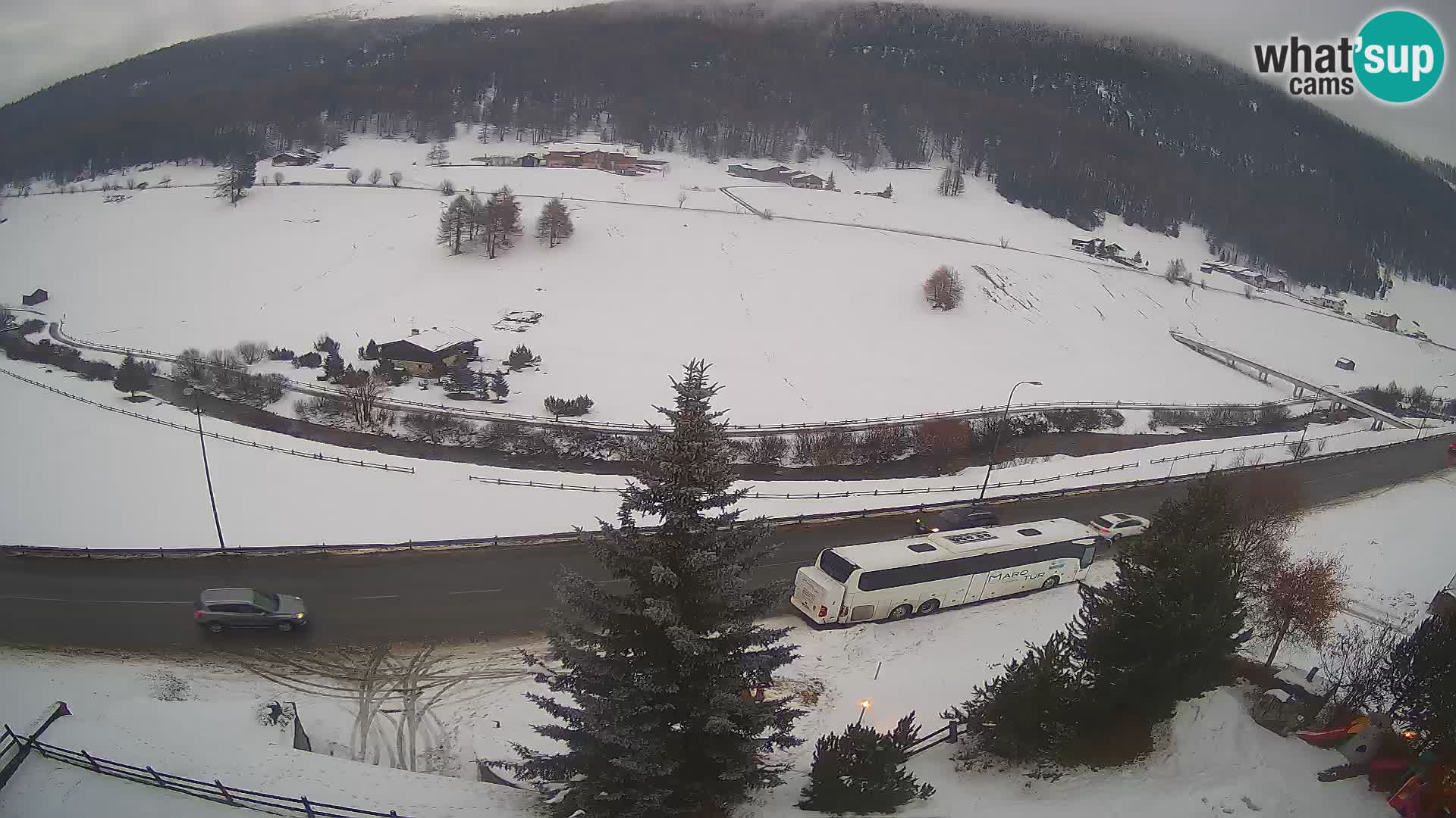 Livigno webcam LIVE Hotel Primula