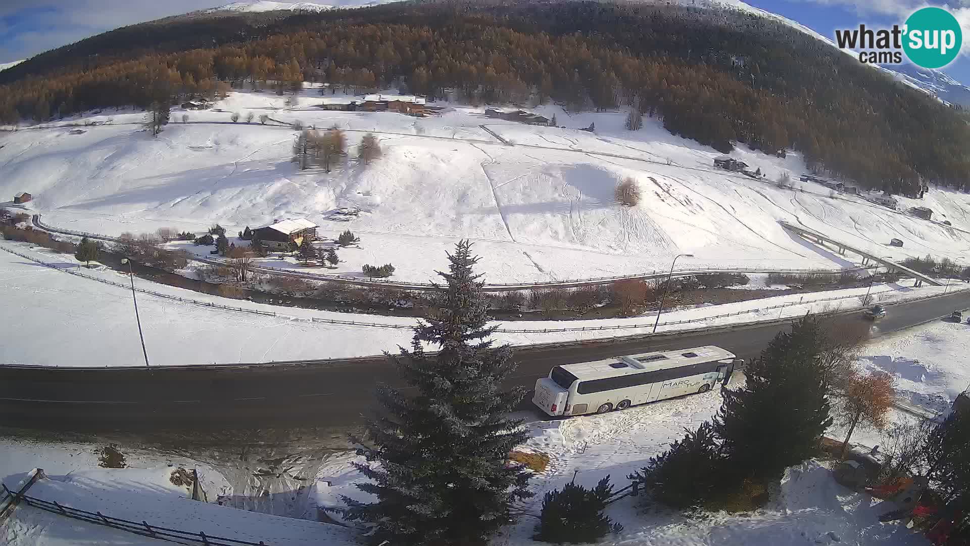 Camera Livigno Hotel Primula | ESQUIAR