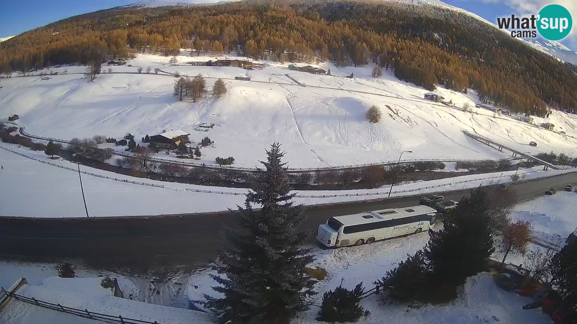 Livigno Cam Hotel Primula | Livigno smučišče