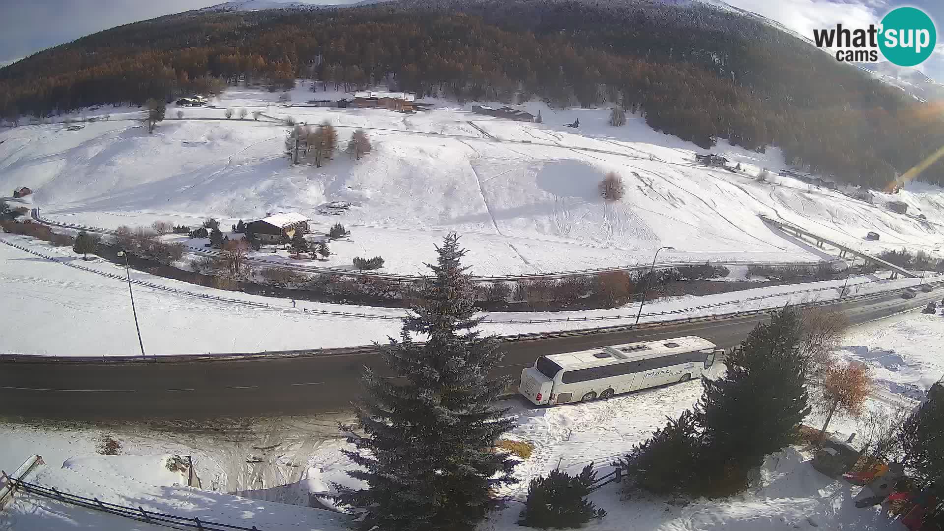 Livigno webcam LIVE Hotel Primula