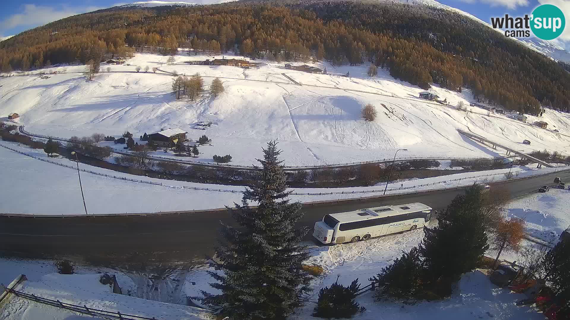 Livigno webcam LIVE Hotel Primula