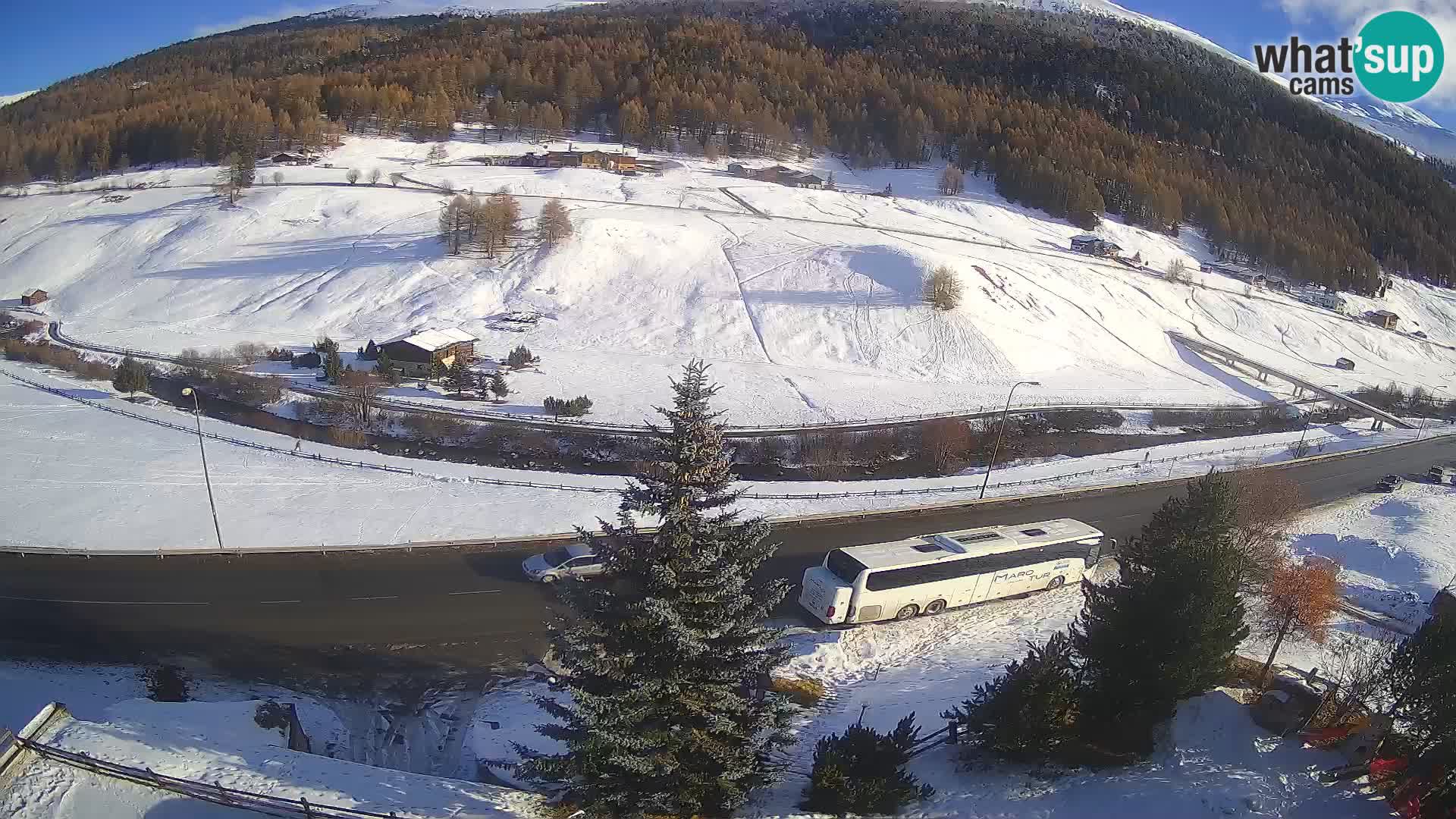 Livigno webcam LIVE Hotel Primula