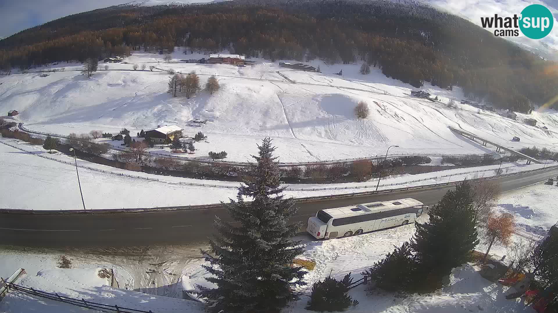 Livigno webcam LIVE Hotel Primula