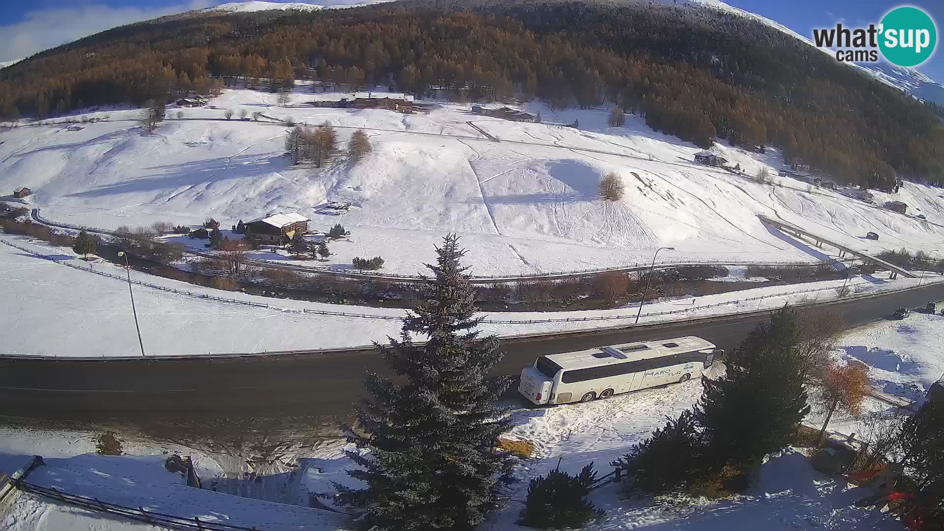 Livigno Cam Hotel Primula | Livigno smučišče