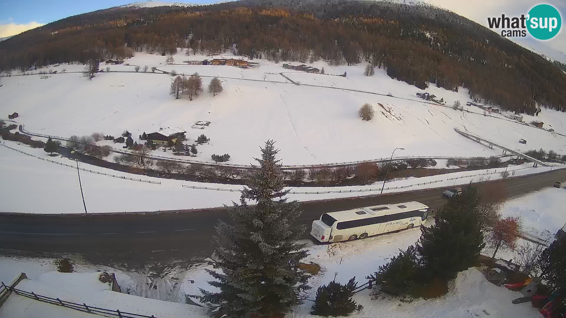 Webcam Livigno Hotel Primula
