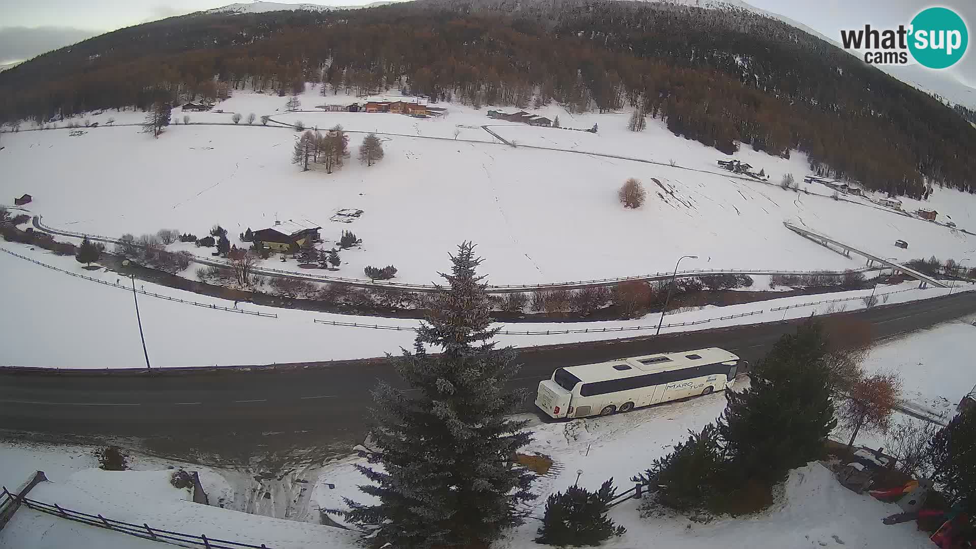 Camera Livigno Hotel Primula | ESQUIAR