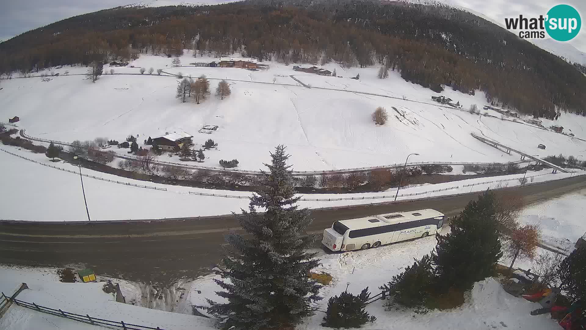 Webcam Livigno Hotel Primula