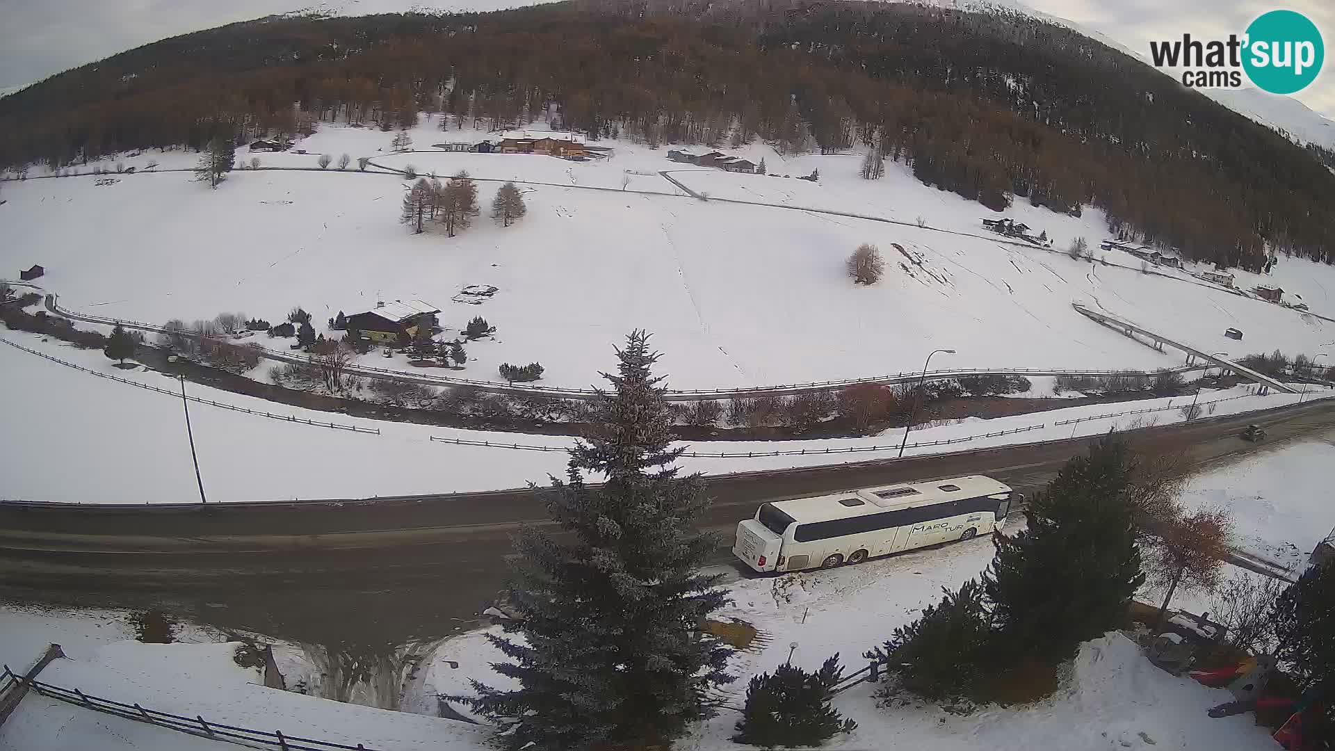 Webcam Livigno Hotel Primula