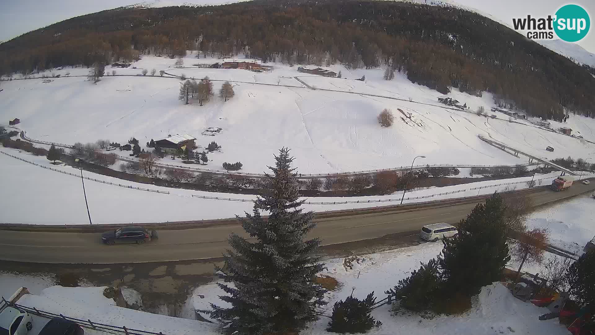 Webcam Livigno Hotel Primula