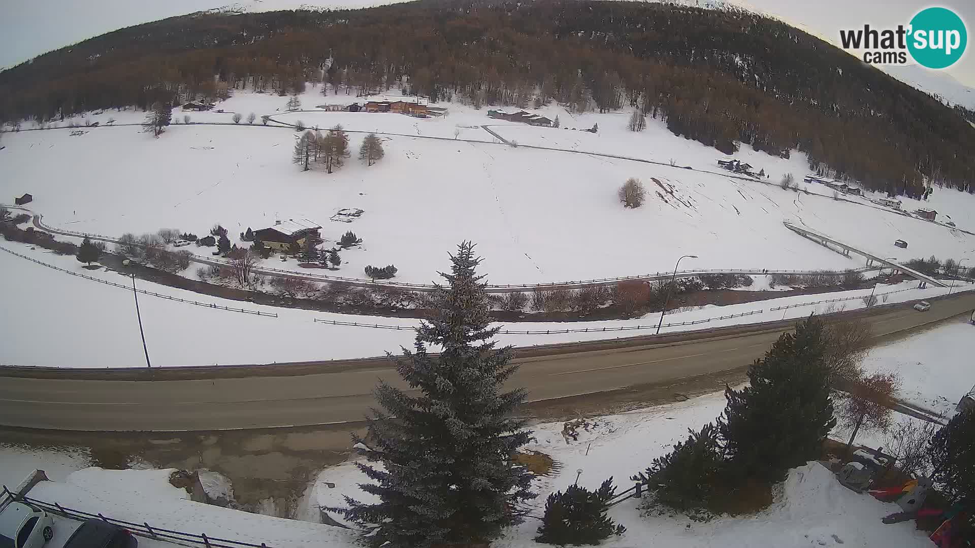 Webcam Livigno Hotel Primula