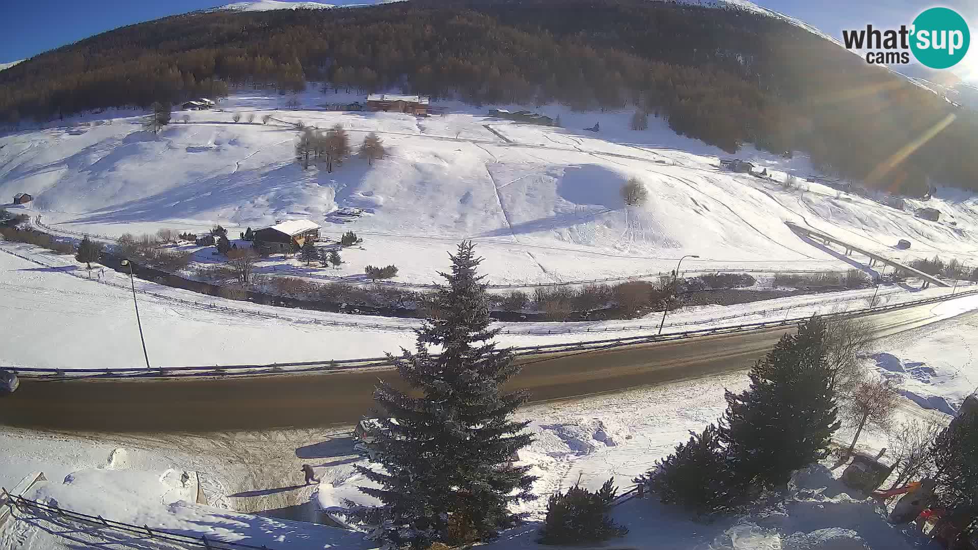 Webcam Livigno Hotel Primula