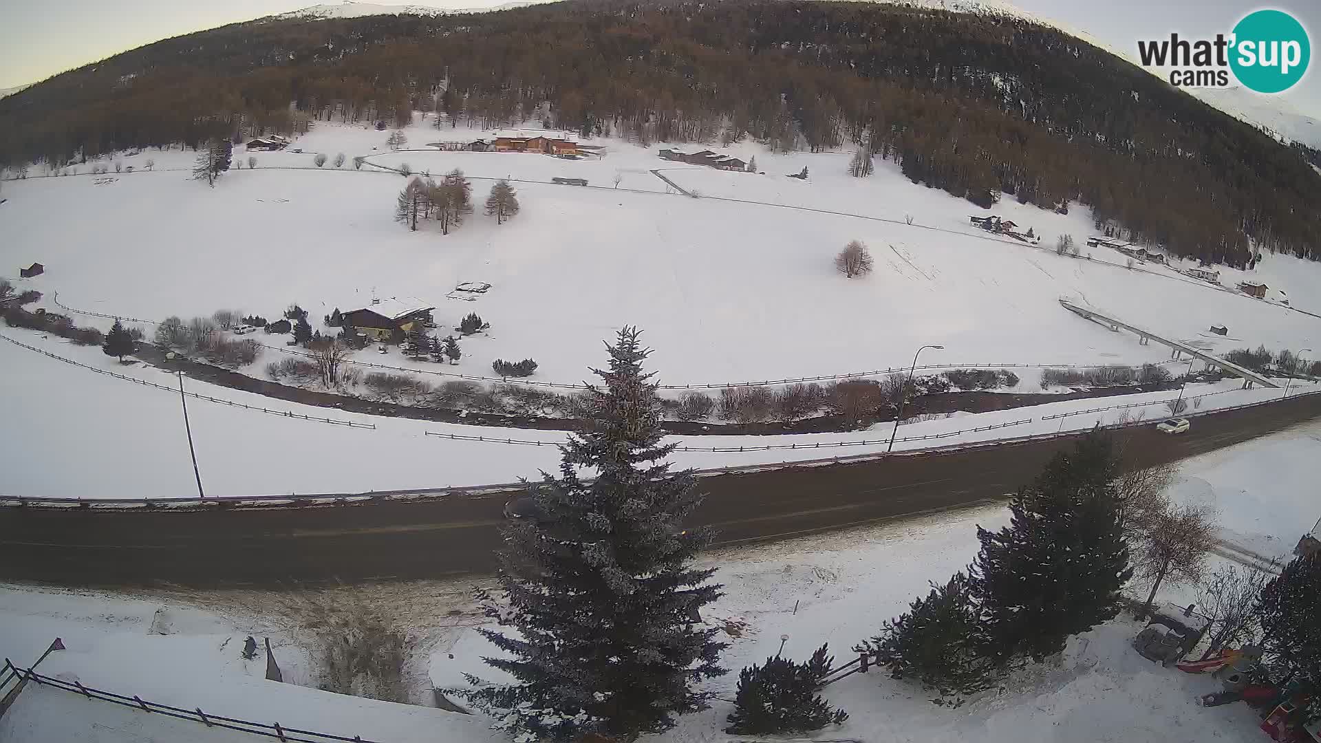 Livigno webcam LIVE Hotel Primula