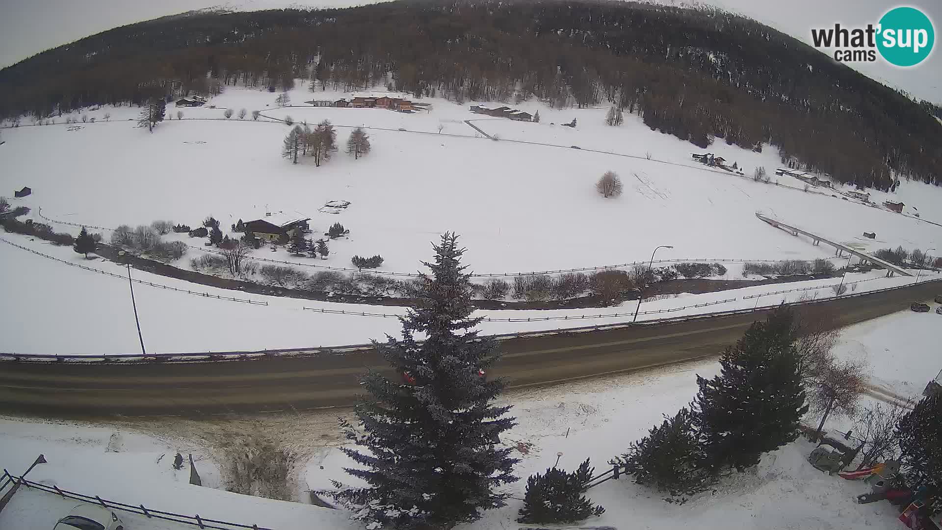 Webcam Livigno Hotel Primula
