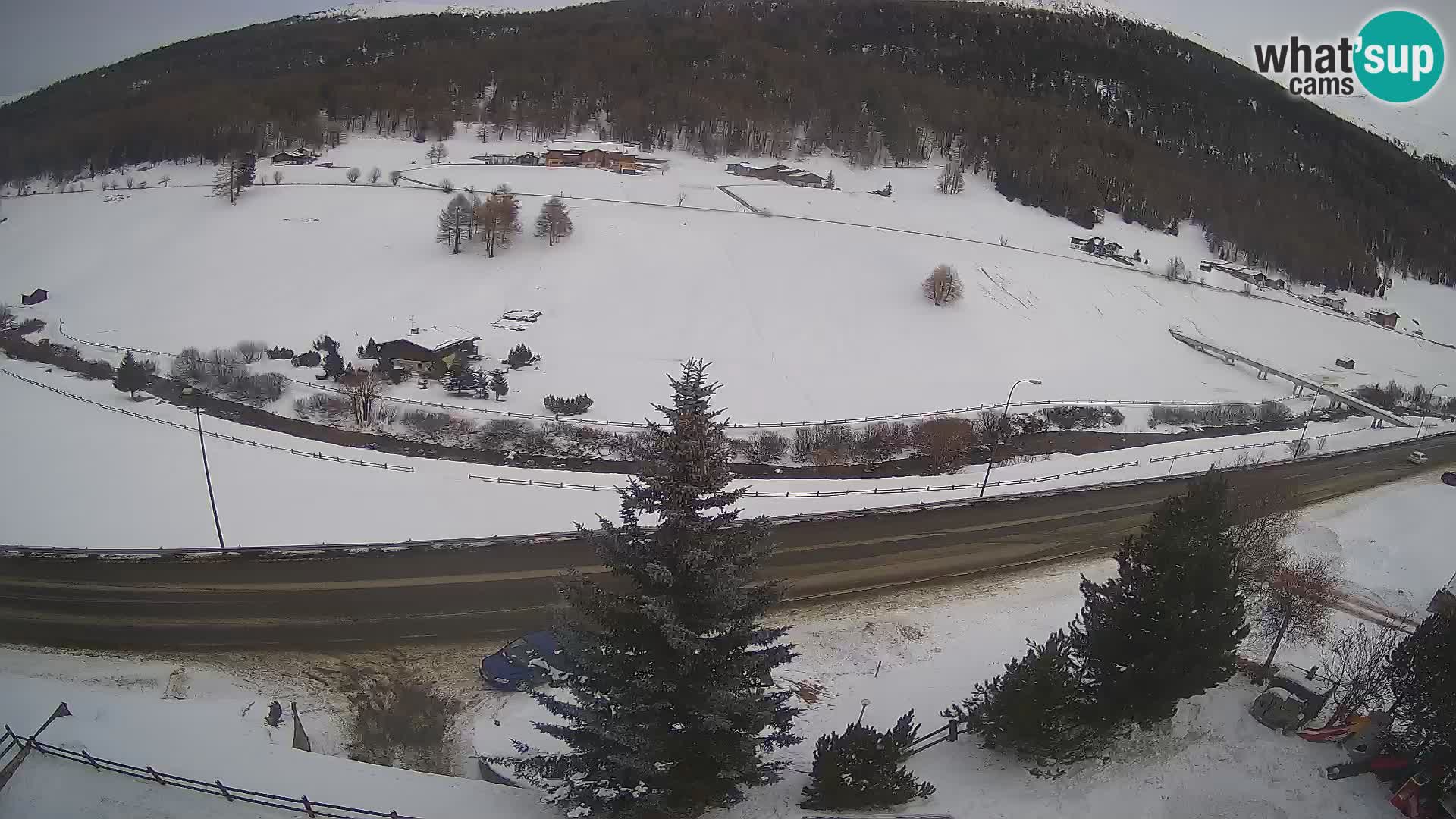 Livigno webcam LIVE Hotel Primula