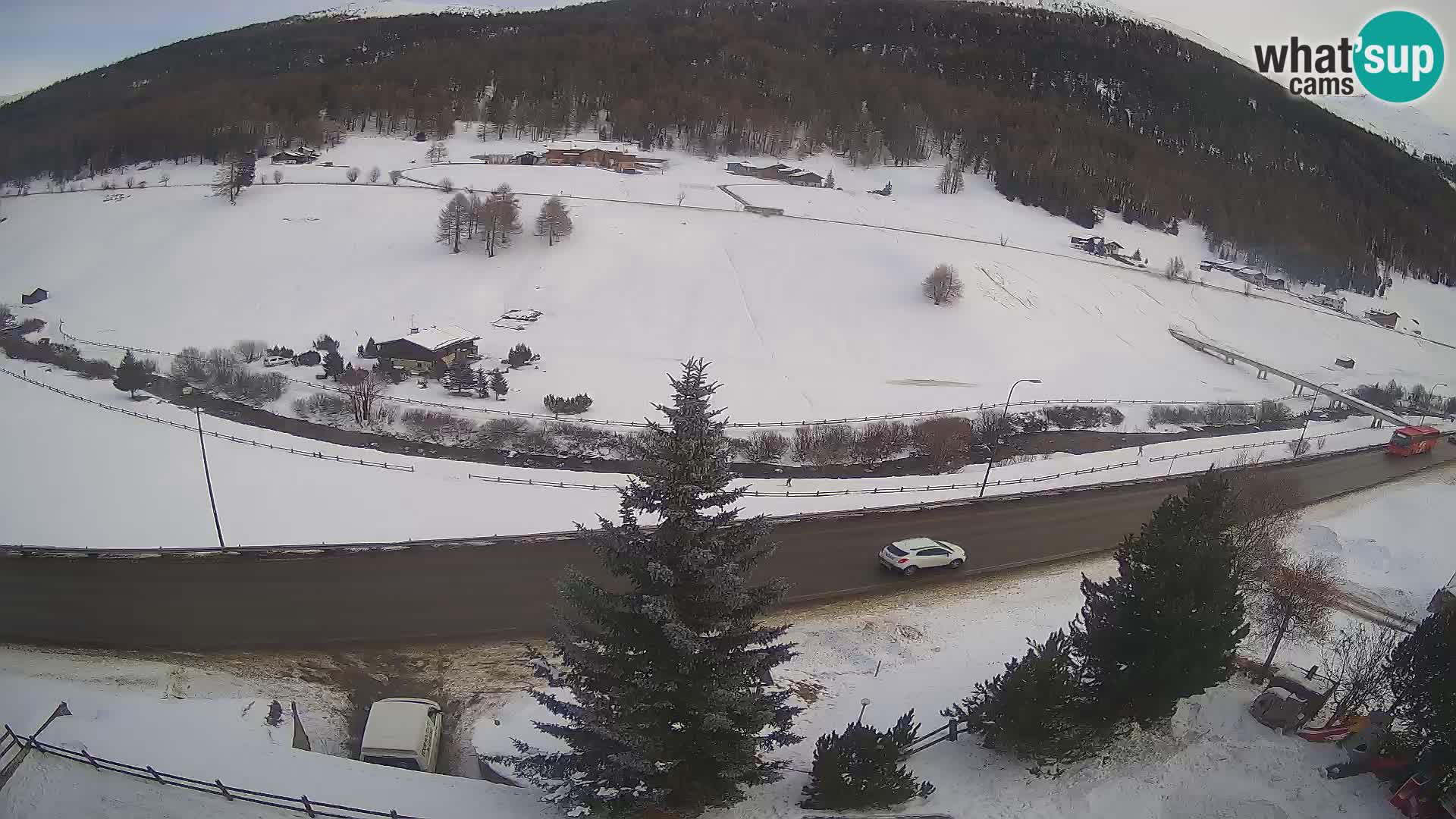 Livigno webcam LIVE Hotel Primula