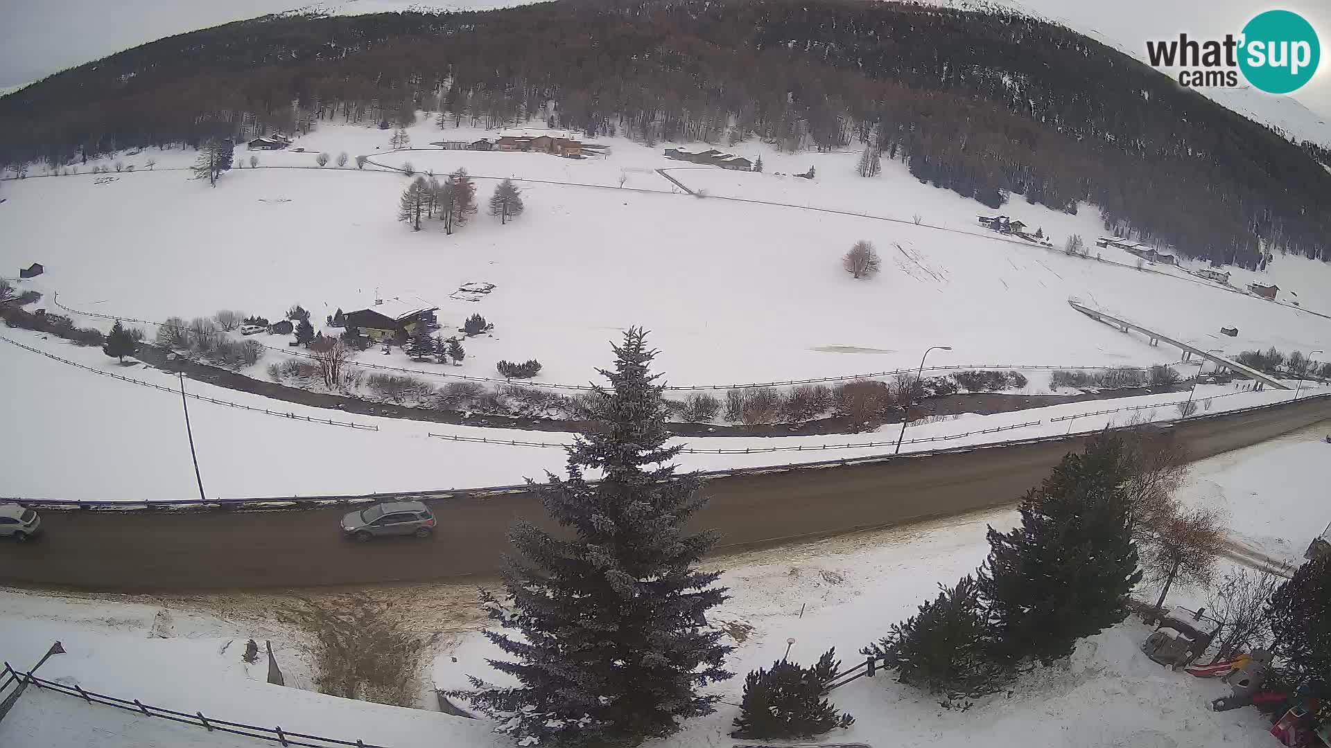 Livigno Hotel Primula webcam
