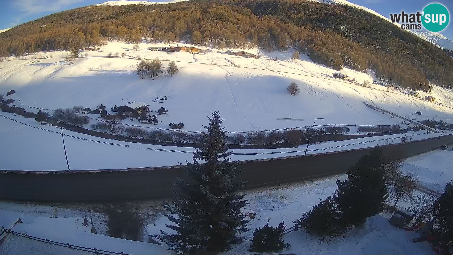 Livigno web kamera Hotel Primula