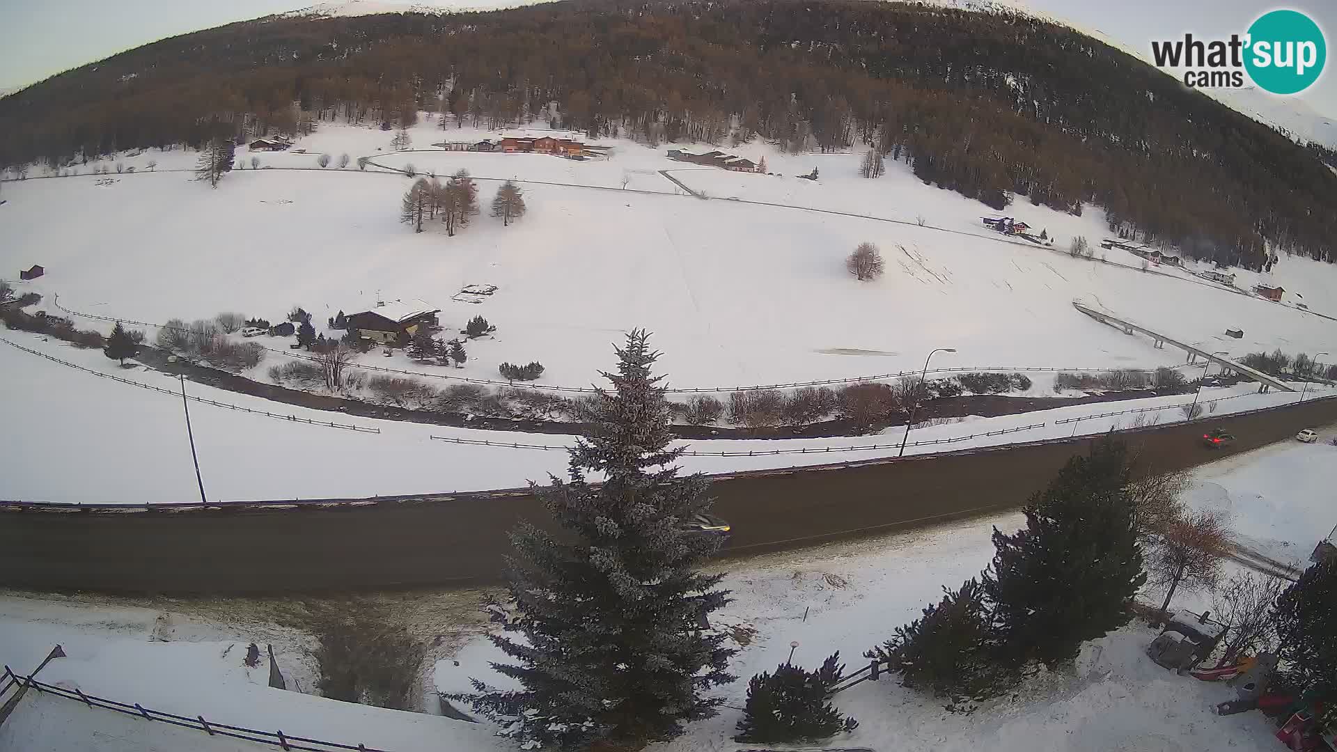 Livigno webcam LIVE Hotel Primula